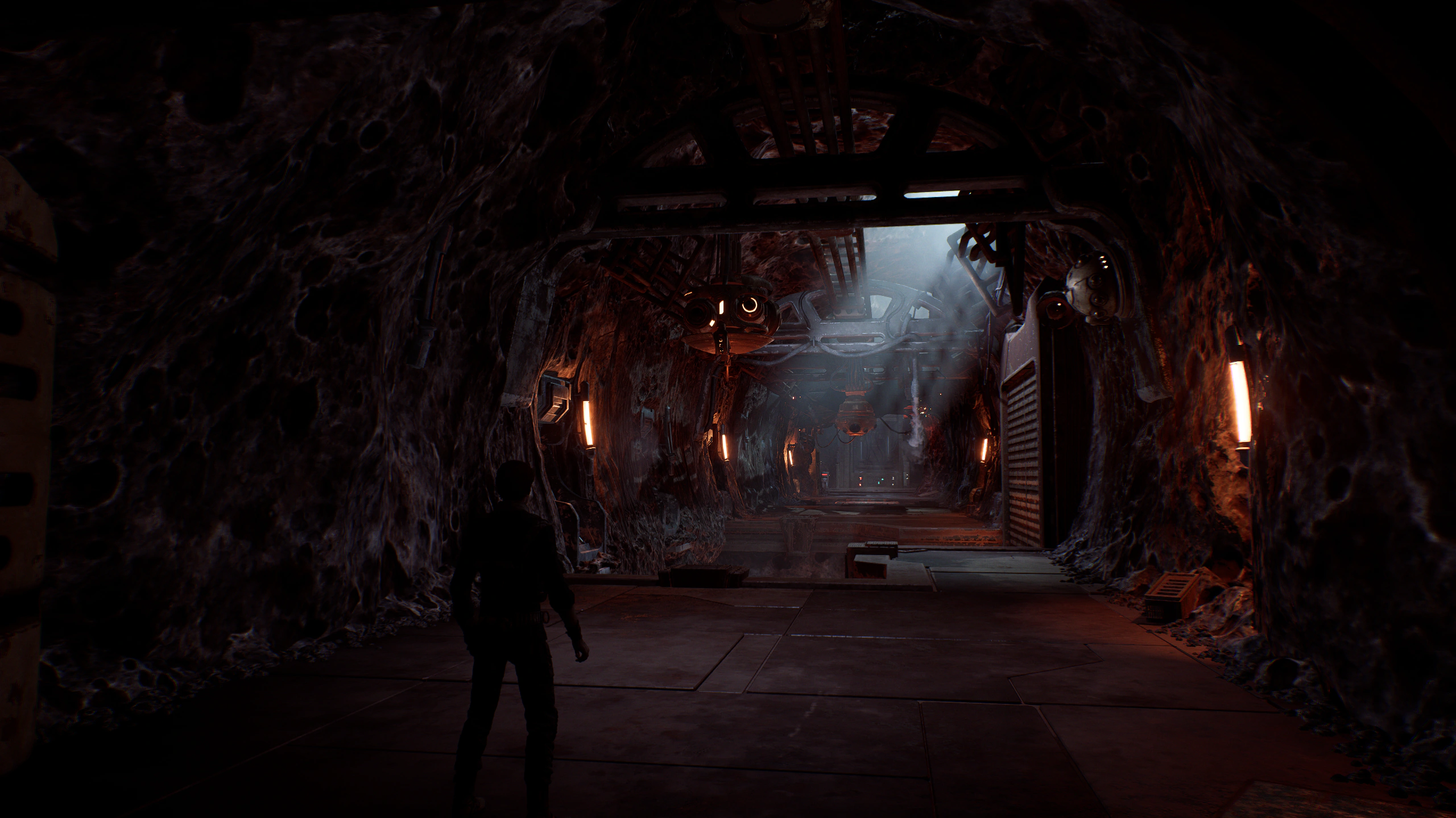 Star Wars Jedi : Fallen Order Screenshot
